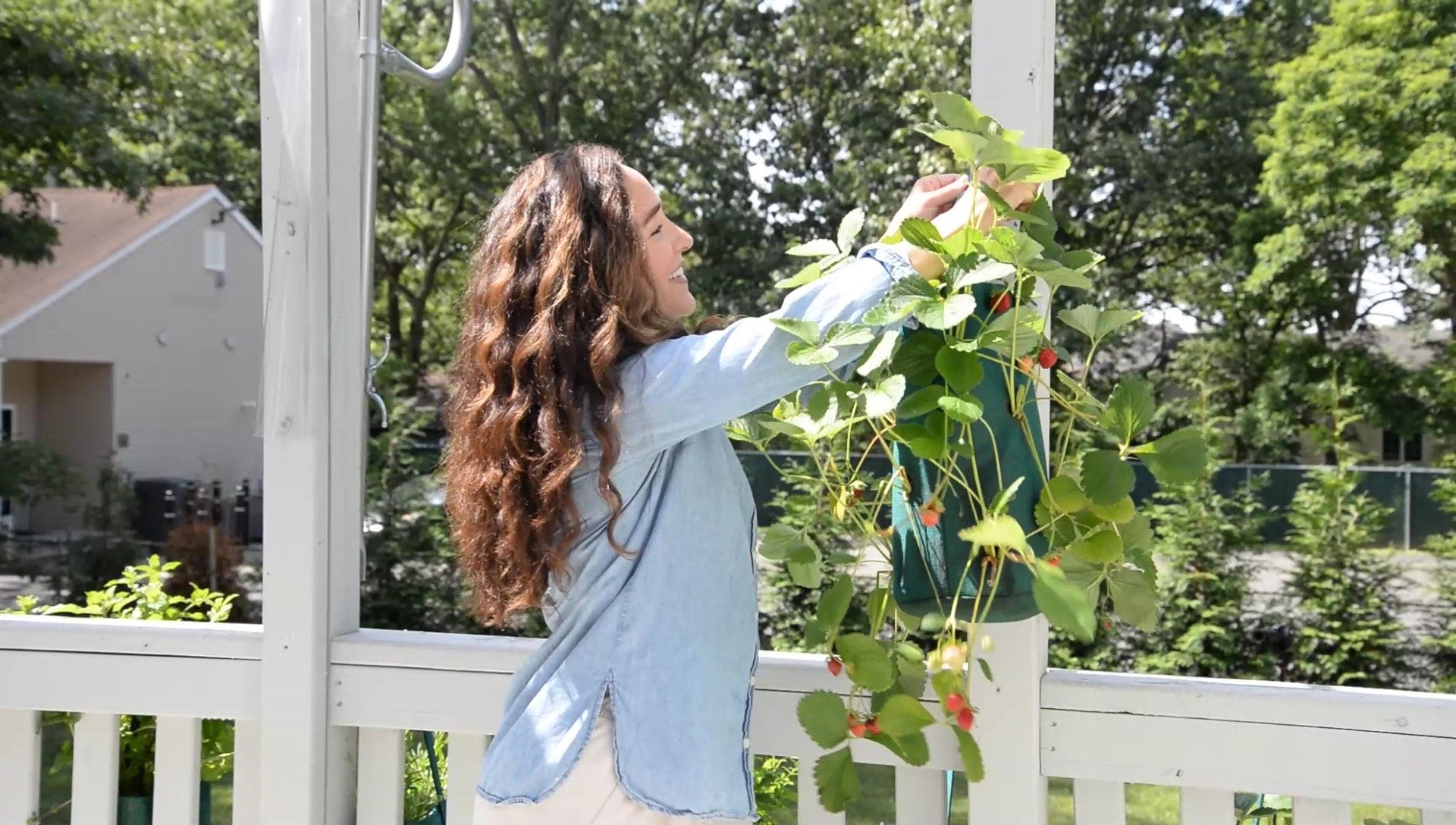 Pri Gardens Upside Down Tomato Planters | Pri Gardens - Hanging Planters  For Tomatoes, Strawberries, Hot Peppers and other Vegetables